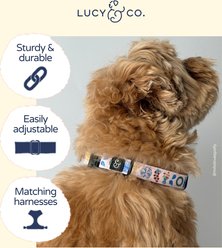 Lucy & Co. Dolce Vita Dog Collar, Small: 8 to 14-in neck, 1/2-in wide slide 2 of 4