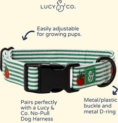 Lucy & Co. Tomato, Tomahto Embroidered Dog Collar, Small: 8 to 14-in neck, 1/2-in wide slide 2 of 4