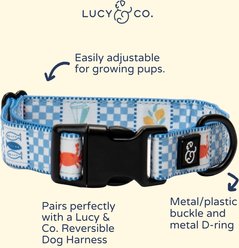 Lucy & Co. Sunny in Sicily Dog Collar, Small: 8 to 14-in neck, 1/2-in wide slide 2 of 4