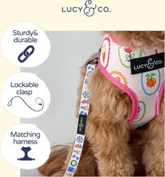 Lucy & Co. Dolce Vita Dog Leash, Small: 5-ft long, 0.6-in wide slide 2 of 4