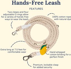 Lucy & Co. Main Squeeze Hands-Free Rope Dog Leash, 7-ft long, 0.6-in wide slide 2 of 3