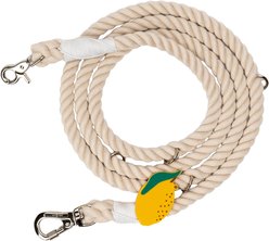 Lucy & Co. Main Squeeze Hands-Free Rope Dog Leash, 7-ft long, 0.6-in wide slide 1 of 3