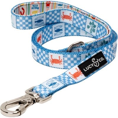 Lucy & Co. Lucy & Co. Sunny in Sicily Dog Leash, Large: 5-ft long, 1-in wide