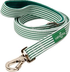Lucy & Co. Tomato, Tomahto Dog Leash, Large: 5-ft long, 1-in wide