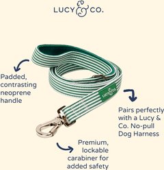 Lucy & Co. Tomato, Tomahto Dog Leash, Large: 5-ft long, 1-in wide slide 2 of 4