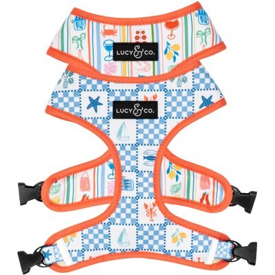 Lucy & Co. Lucy & Co. Sunny in Sicily Reversible Dog Harness, Medium: 17 to 23-in chest