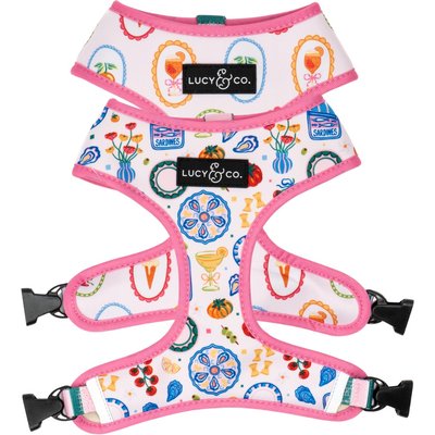 Lucy & Co. Lucy & Co. Dolce Vita Reversible Dog Harness, X-Small: 12 to 15-in chest