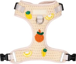 Lucy & Co. Main Squeeze Crochet No-Pull Dog Harness, X-Small: 12 to 15-in chest