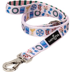 Lucy & Co. Dolce Vita Dog Leash, Large: 5-ft long, 1-in wide