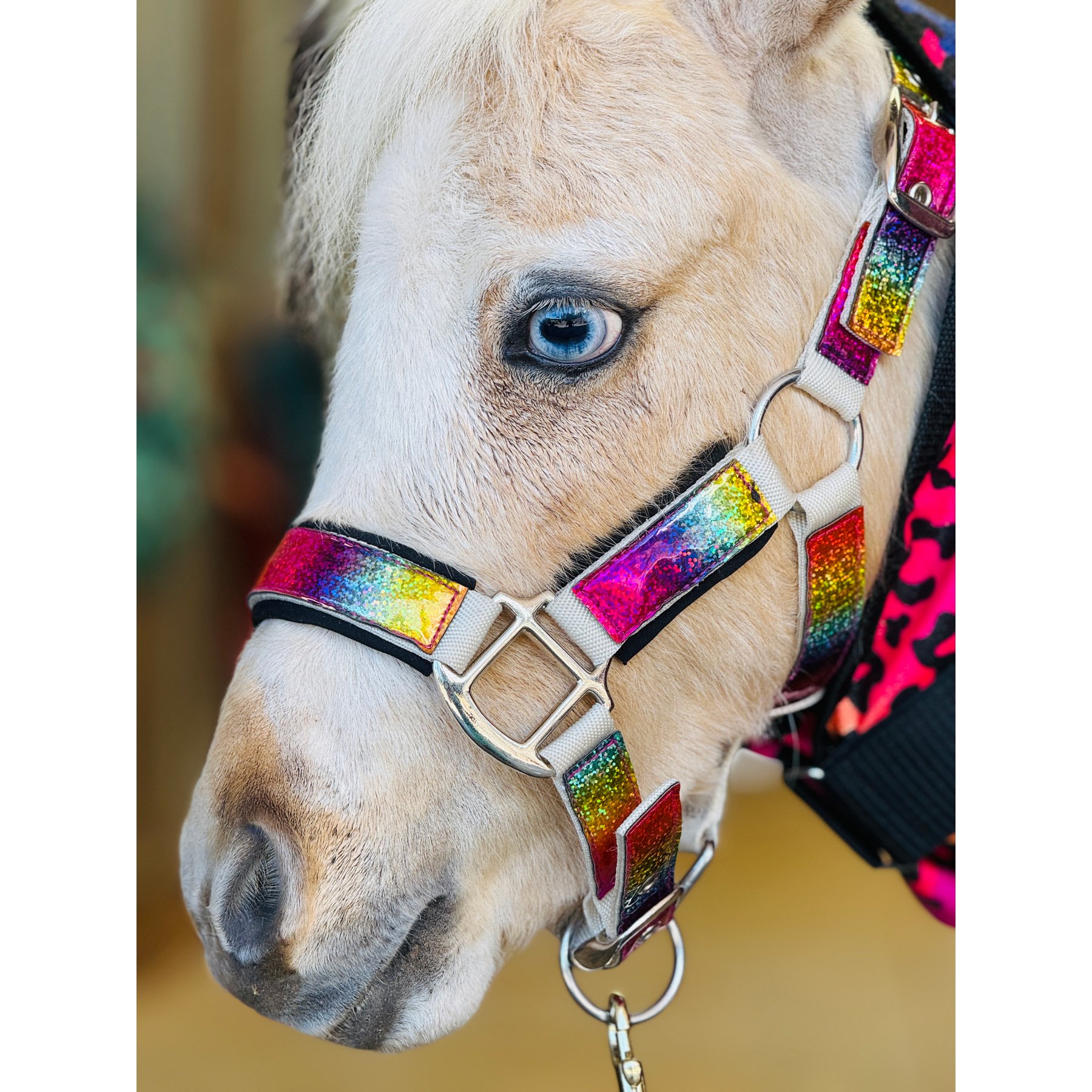 Star Point Horsemanship Glitter Sparkle Padded Stable Horse Halters, Rainbow Holographic, Large-Mini: 35-40-in