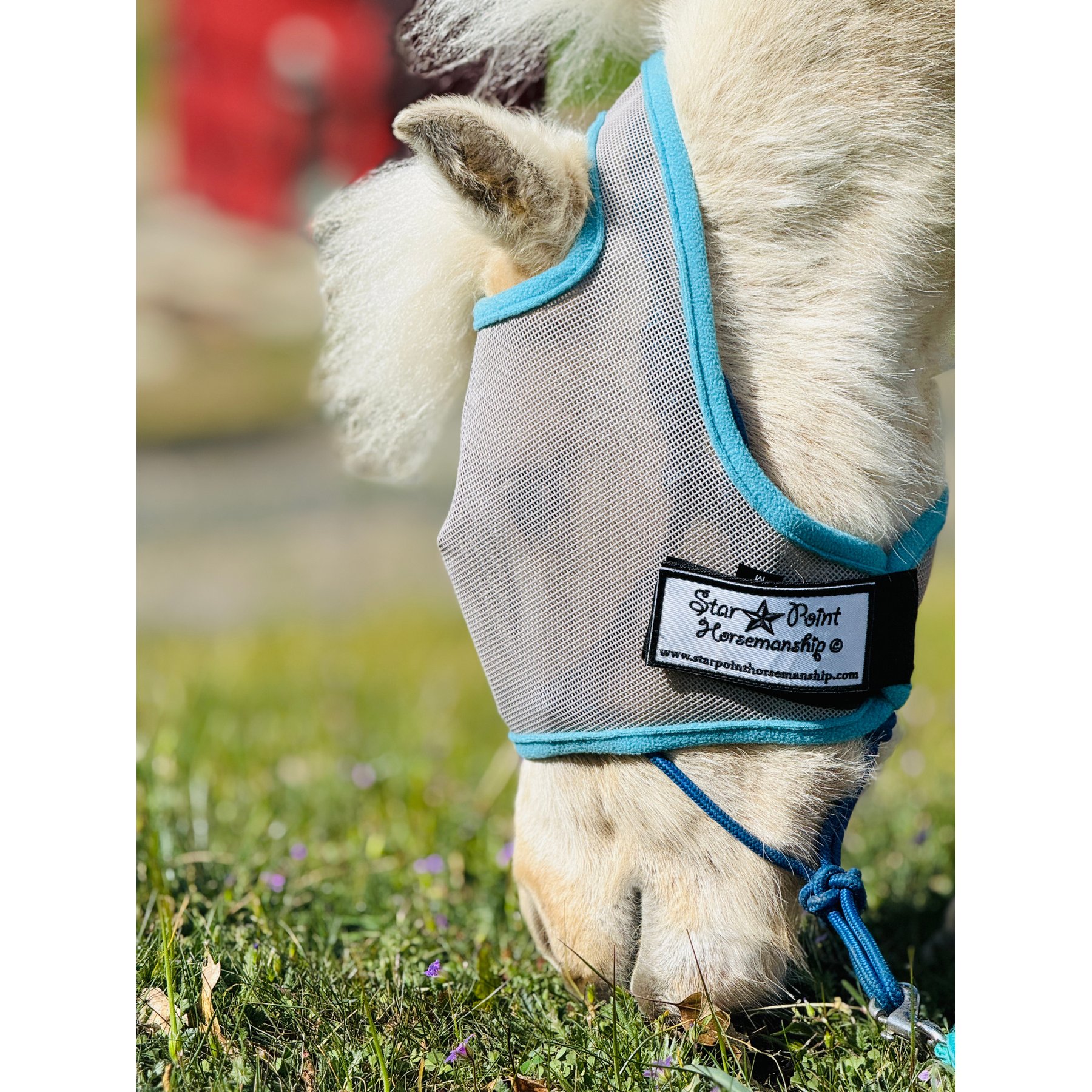 Star Point Horsemanship Mini-Pony No Ear Fly Mask, Gray & Teal, Medium/Mini