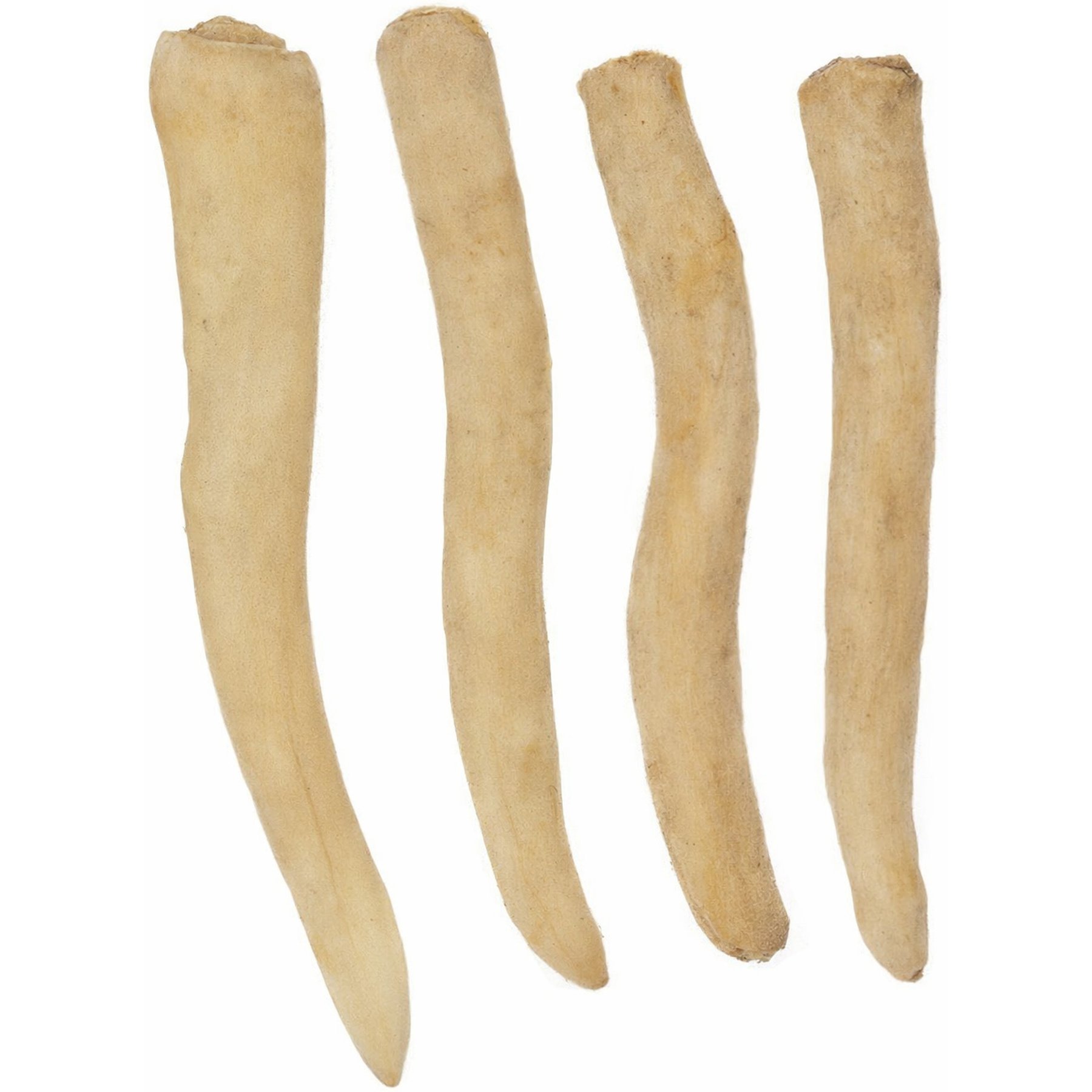 Wild EatsWater Buffalo Bully Tail Long Lasting Natural Single Source Protein Dog Chew Treats, Small: 0.28-lb bag, 4 count