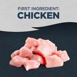 Blackwood Grain-Free Chicken & Chicken Liver with Pumpkin All Life Stages Canned Dog Food, 13-oz, case of 12 slide 2 of 6