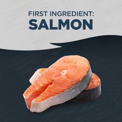 Blackwood Grain-Free Chicken & Salmon with Pumpkin All Life Stages Canned Dog Food, 13-oz, case of 12 slide 2 of 6
