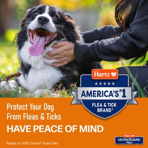 Hartz UltraGuard Flea & Tick Collar for Dogs, up to 26" Neck, 1 Collar (7-mos. supply)