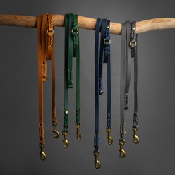 Noah & Paw Genuine Leather Dog Collar, Camel, 11 to 15-in neck, 1/2-in wide slide 2 of 9