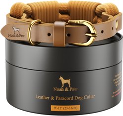Noah & Paw Genuine Leather Dog Collar, Dark Green, 9 to 12-in neck, 1/2-in wide