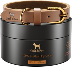 Noah & Paw Genuine Leather Dog Collar, Camel, 11 to 15-in neck, 1/2-in wide slide 1 of 9