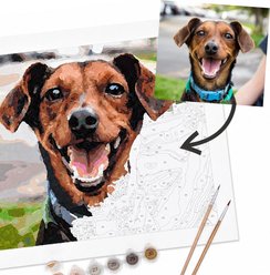 PBNify Custom Dog Paint-by-Number Kit, 12 x 15-in slide 2 of 3