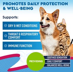 Beloved Pets Kennel Cough Treatment & Natural Infection Medicine for Dogs & Cats, 2-fl oz bottle slide 2 of 7