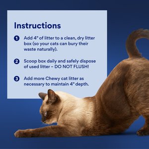Chewy Made Lightweight Unscented Clumping Cat Litter (FORMERLY FRISCO), 9-lb jug