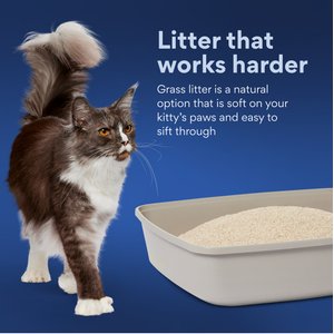 Chewy Made All Natural Unscented Clumping Grass Cat Litter (FORMERLY FRISCO), 20-lb bag