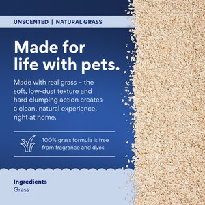 Chewy Made All Natural Unscented Clumping Grass Cat Litter (FORMERLY FRISCO), 20-lb bag