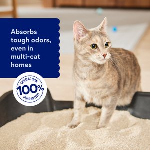 Chewy Made All Natural Unscented Clumping Grass Cat Litter (FORMERLY FRISCO), 20-lb bag