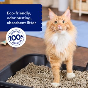 Chewy Made Unscented Non-Clumping Recycled Paper Cat Litter (FORMERLY FRISCO), 25-lb bag