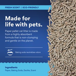 Chewy Made Fresh Scent Non-Clumping Recycled Paper Cat Litter (FORMERLY FRISCO), 25-lb bag