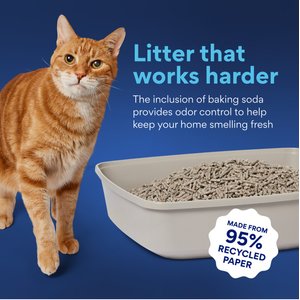 Chewy Made Fresh Scent Non-Clumping Recycled Paper Cat Litter (FORMERLY FRISCO), 25-lb bag