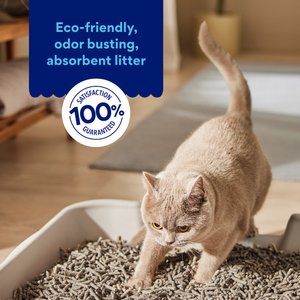 Chewy Made Fresh Scent Non-Clumping Recycled Paper Cat Litter (FORMERLY FRISCO), 25-lb bag