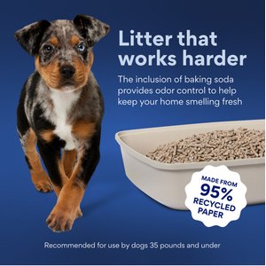 Chewy Made Unscented Non-Clumping Recycled Paper Dog Litter (FORMERLY FRISCO), 25-lb bag
