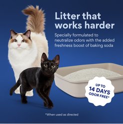 Chewy Made Multi-Cat Baking Soda Unscented Clumping Clay Cat Litter (FORMERLY FRISCO), 40-lb bag slide 2 of 8