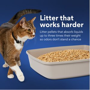 Chewy Made All Natural Pine Pellet Non-Clumping Wood Cat Litter (FORMERLY FRISCO), 40-lb bag