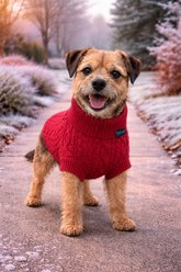 Parisian Pet Cable Knit Sweater Dog, Red, Small slide 2 of 4
