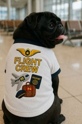 Parisian Pet Flight Crew Dog Shirt, Large slide 2 of 4