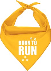 Parisian Pet Born to Run Dog Bandana, Large