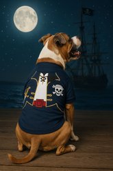 Parisian Pet Captain Spawrrow Dog Shirt, Medium slide 2 of 4