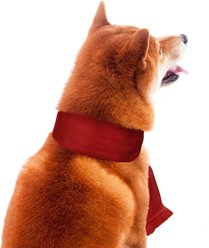 Littlearth NFL Dog Scarf, Large, San Francisco 49ers slide 2 of 8