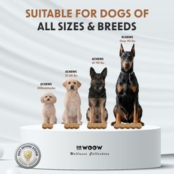 Dr Woow Flea & Tick Prevention Chews for Dogs, 120 Count slide 2 of 9
