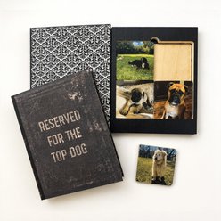 Thirty-Six Degree Reserved for the Top Personalized Dog Coaster Book