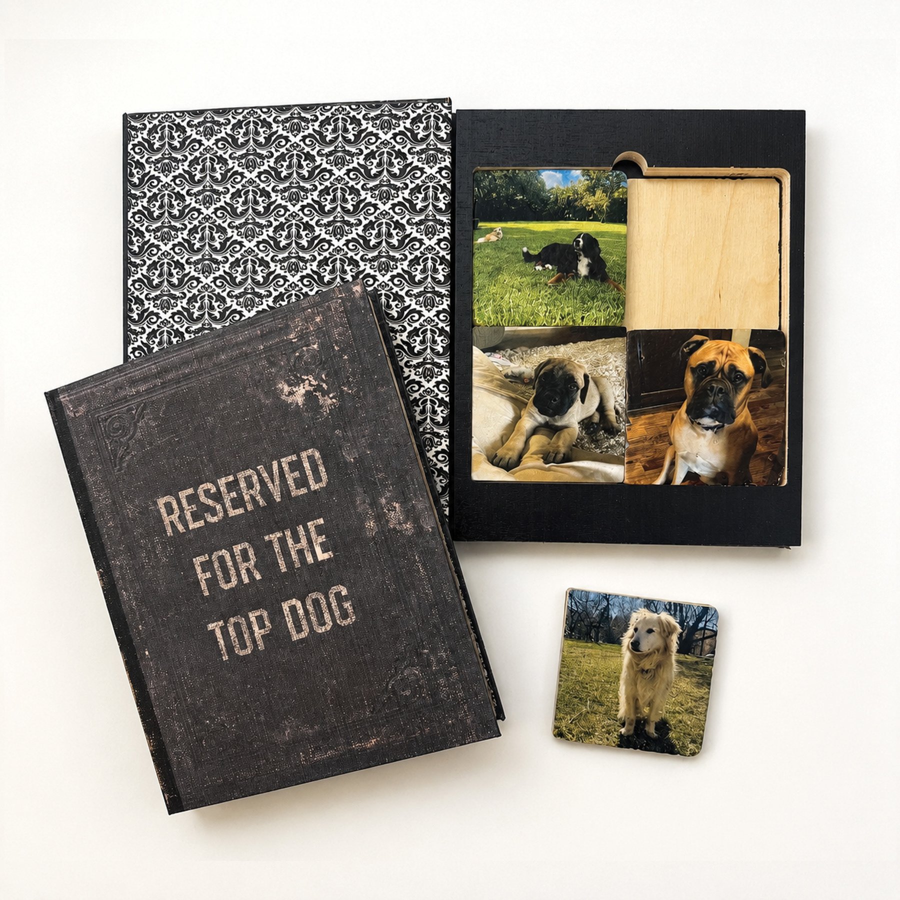 Thirty-Six Degree Reserved for the Top Personalized Dog Coaster Book
