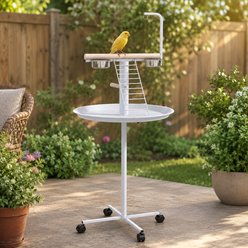 Little Pals Parrot Rolling Stand with Wood Perch, White, 54.25-in slide 2 of 9