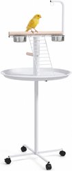 Little Pals Parrot Rolling Stand with Wood Perch, White, 54.25-in