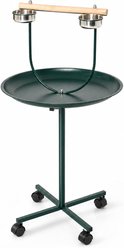 Little Pals Rolling T-Stand Parrot Play Stand with Wood Perch, Green, 48-in