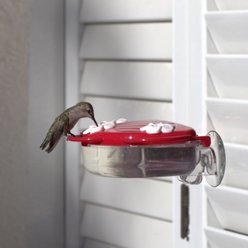 Natures Way Bird Products Window Hummingbird Feeder, Red, 7-oz slide 2 of 9