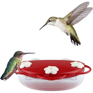 Natures Way Bird Products Window Hummingbird Feeder, Red, 7-oz