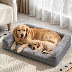 LFC PETS Water-resistant Orthopedic Bolster Dog & Cat Bed with Removable Cover, Grey, X-Large