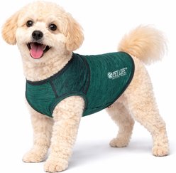 Pet Life Active Aero-Pawlse Heathered Quick-Dry 4-Way Stretch-Performance Dog T-Shirt, Green, X-Small